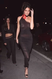 kendall jenner boobs in see through dress
