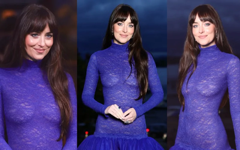 dakota johnson showing boobs and nipples while braless in a naked dress