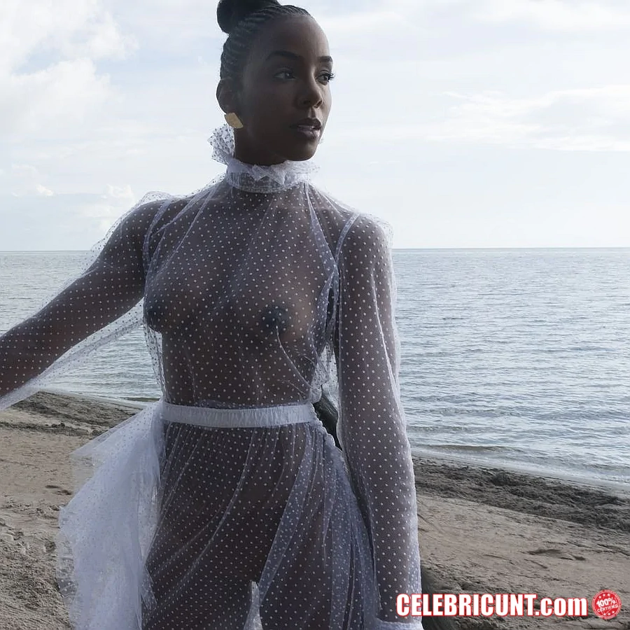 kelly rowland tits in see through dress